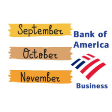 Bank of America Business Statement Bundle – September, October & November 2024 (3-Month Package)